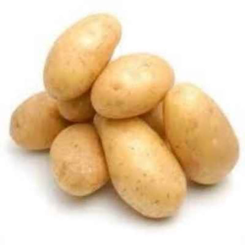 DB ROYAL POTATO/ ALLU - Dailybuyys