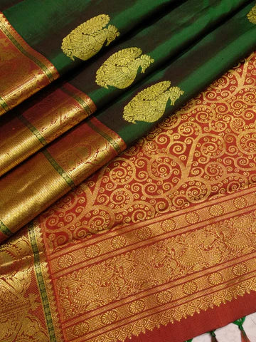 Kanjiveram Pattu Saree - Dailybuyys