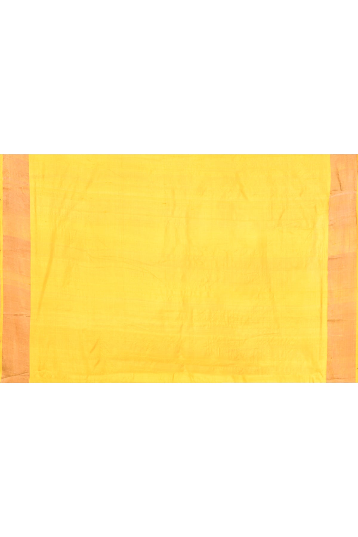 Mustard Yellow Beige Zari  Block Printed Zari Border Pure Silk Mark Certified Tussar Silk Sarees