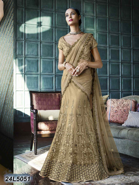 Beige Designer Lehenga Choli - Dailybuyys