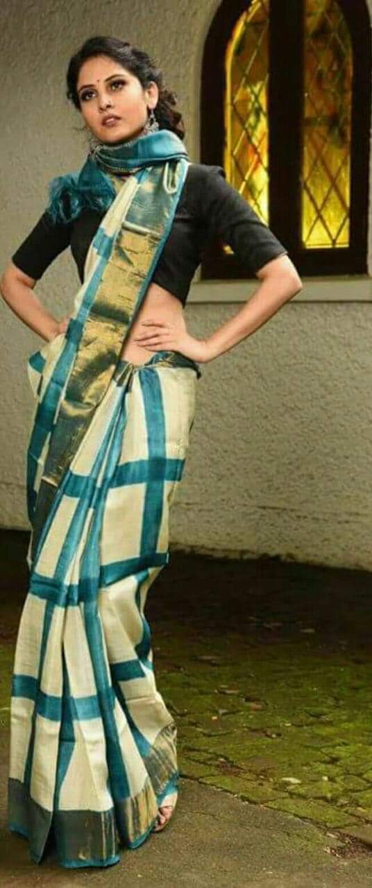 Beige Blue  Block Printed  Zari Border Pure Silk Mark Certified Tussar Silk Sarees - Dailybuyys