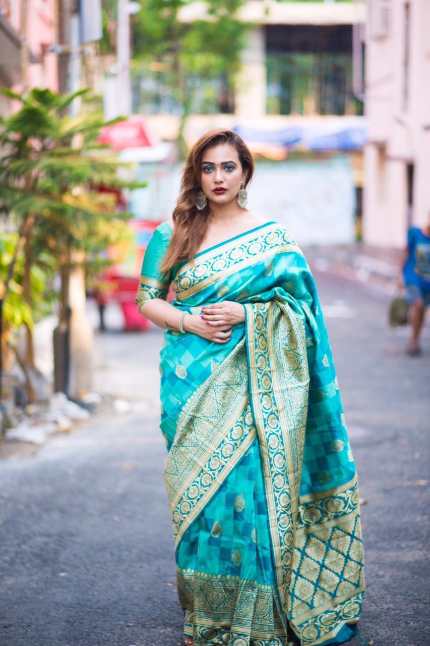 Blue Handloom Weaving Banarasi Silk Sarees - Dailybuyys